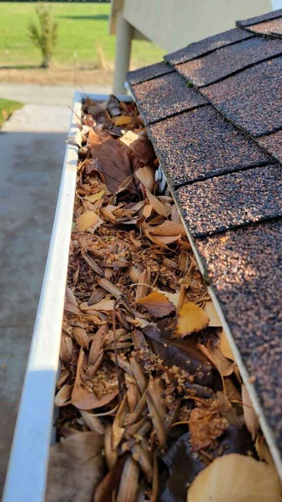 Gutter Cleaning and Repair Service