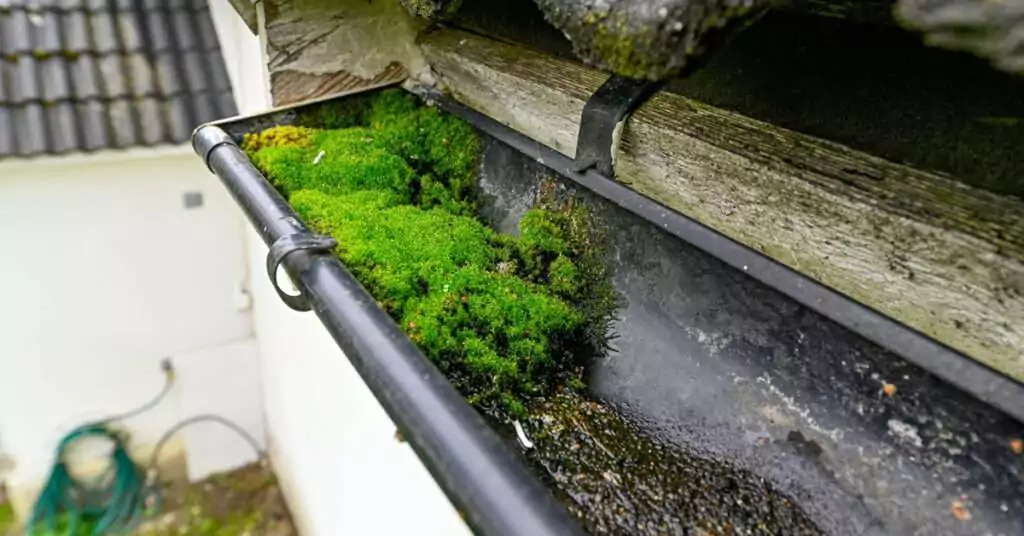 Leaf Guards- The Ultimate Key to Maintenance-Free Gutters- Reduced Maintenance