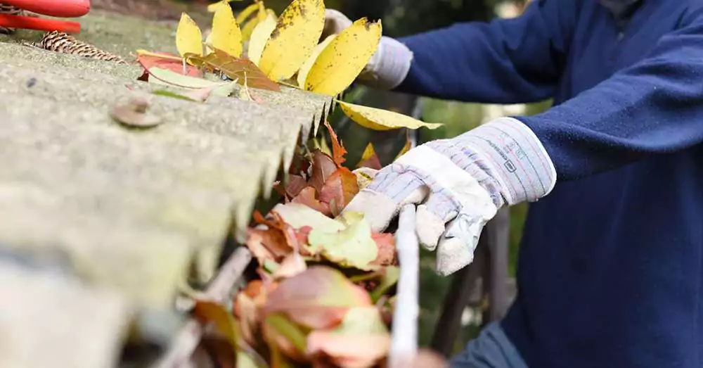 Leaf Guards- The Ultimate Key to Maintenance-Free Gutters- Reduced Maintenance