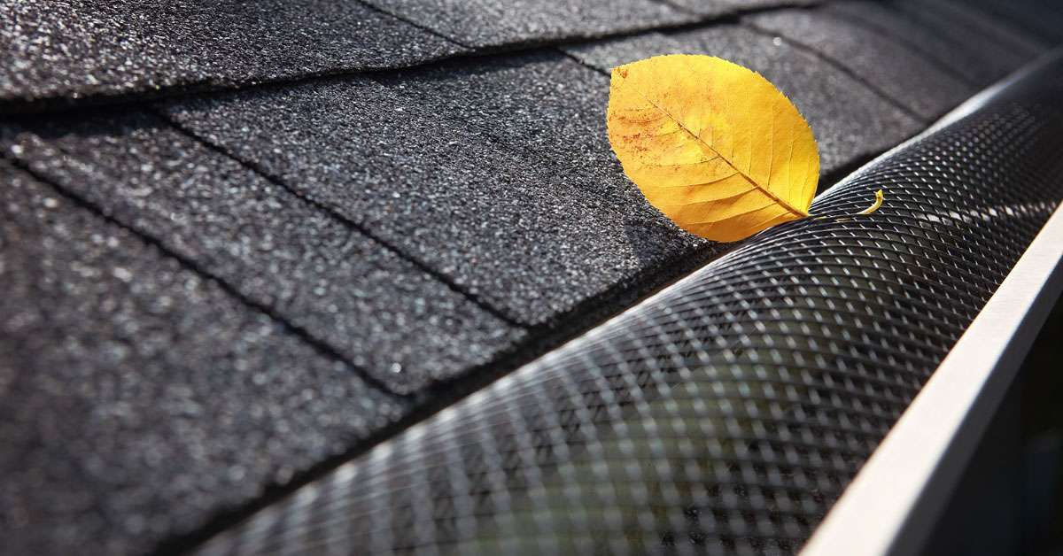 Leaf Guards- The Ultimate Key to Maintenance-Free Gutters- inserts