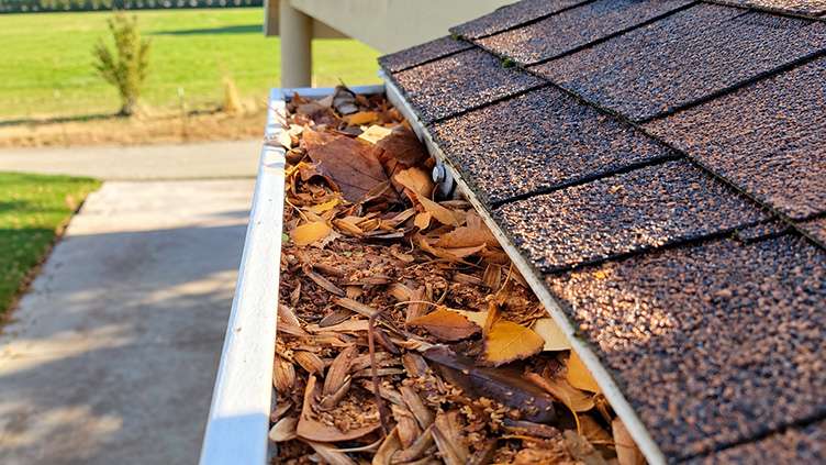 How Clogged Gutters Can Damage Your Home